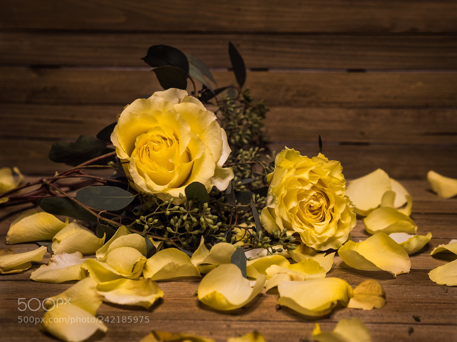 Panasonic Lumix DC-GH5 sample photo. As we slowly fade photography