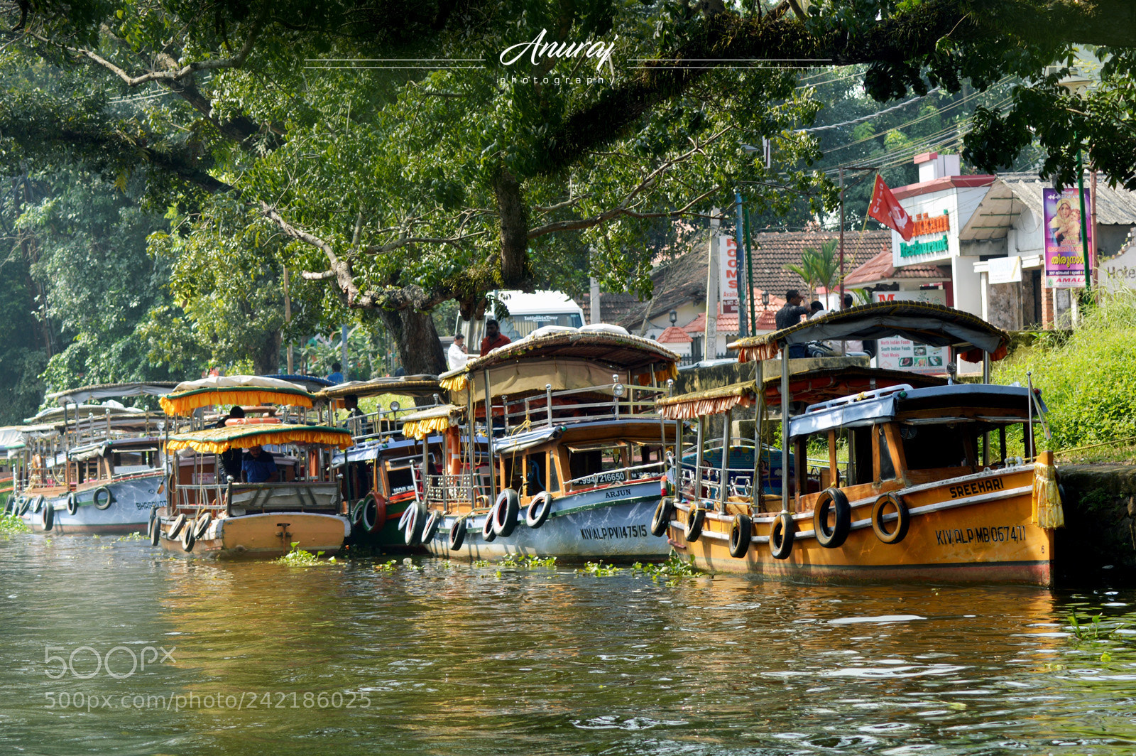 Nikon D3200 sample photo. Alapuzha photography