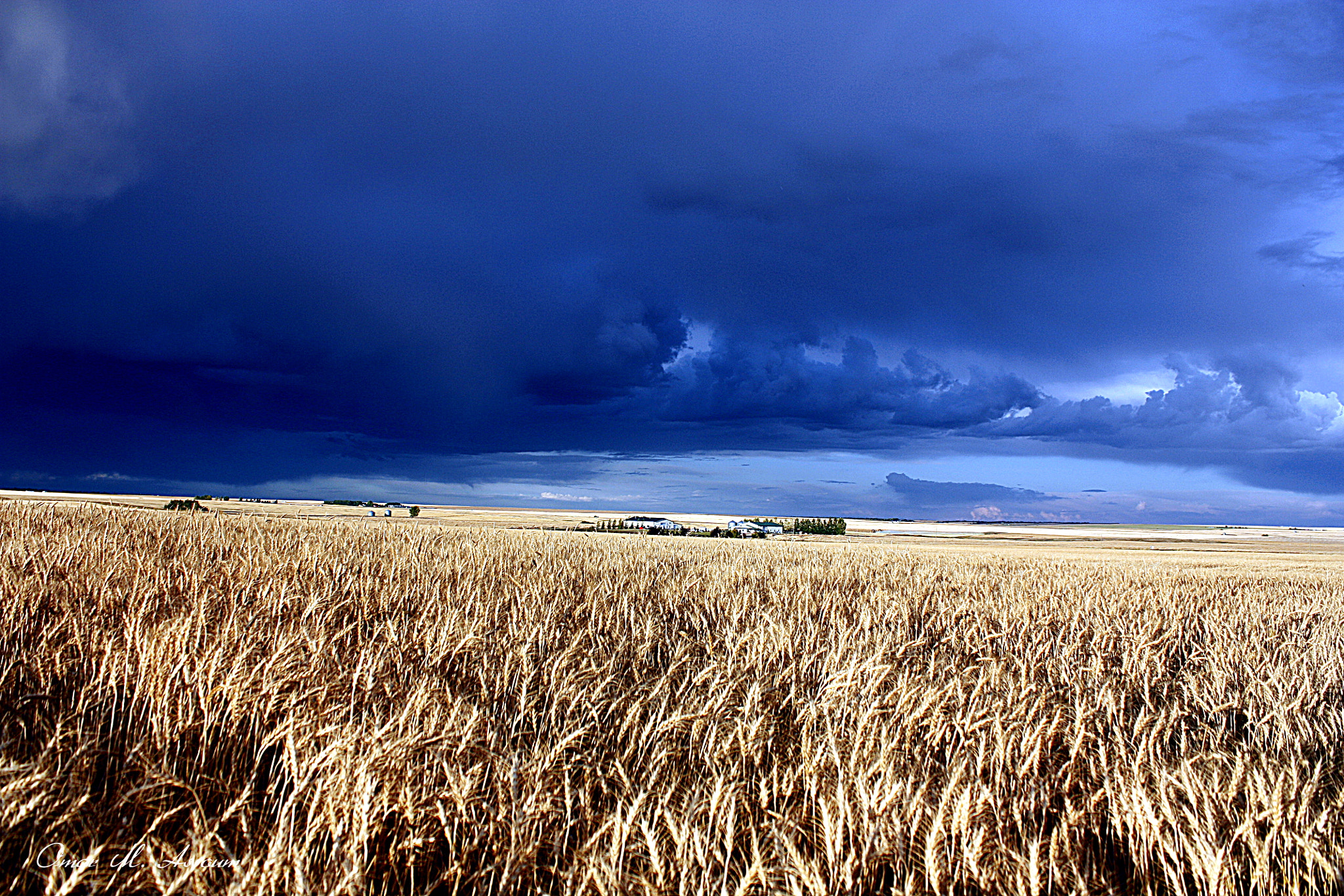 Canon EOS 450D (EOS Rebel XSi / EOS Kiss X2) sample photo. Harvest and storm photography