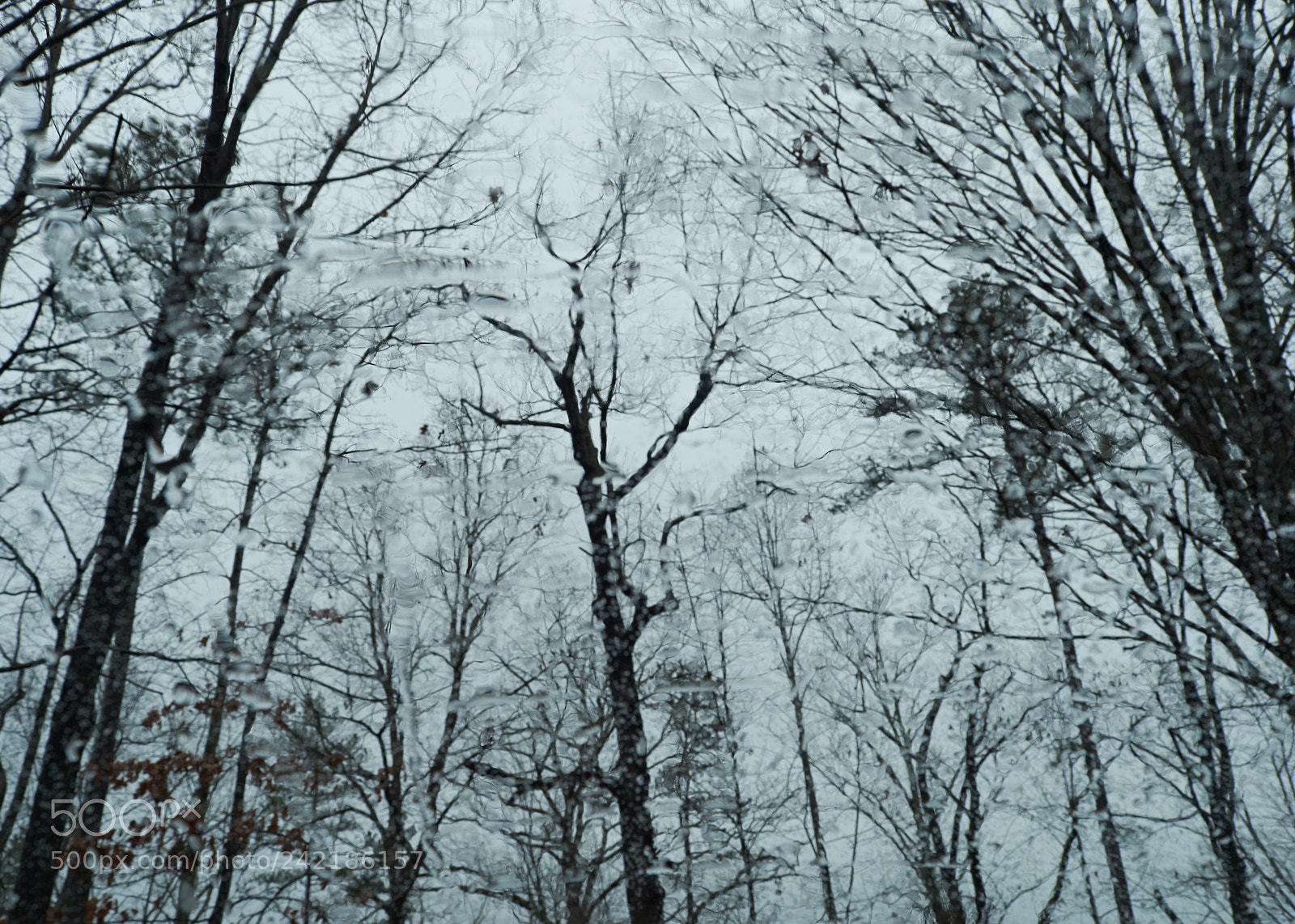 Nikon D5500 sample photo. Untitled photography