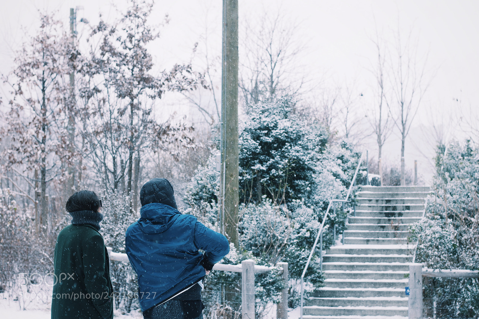 Canon EOS 500D (EOS Rebel T1i / EOS Kiss X3) sample photo. Brooklyn park, new york, 2018 photography