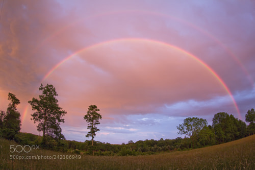 Canon EOS 60D sample photo. A double rainbow captured photography