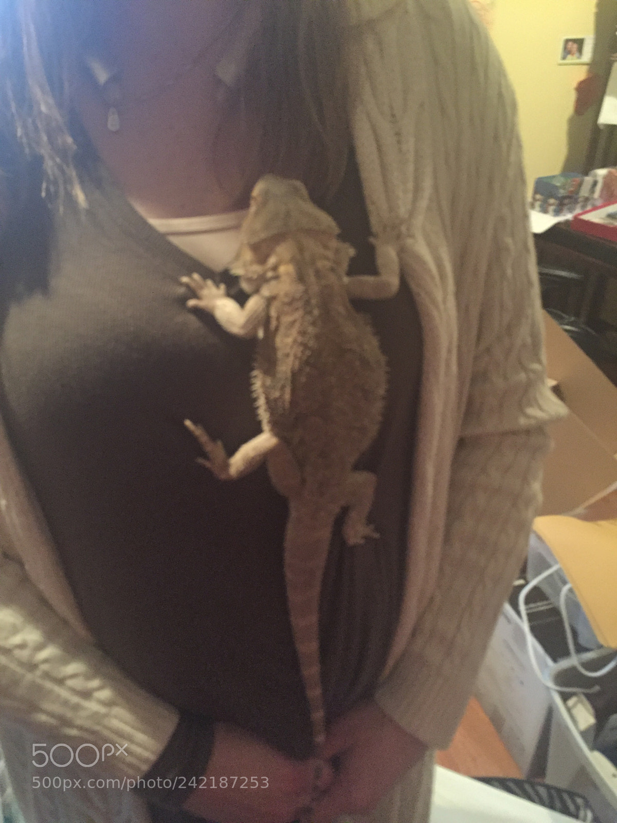Apple iPhone 6 sample photo. Hairy the beer dragon photography