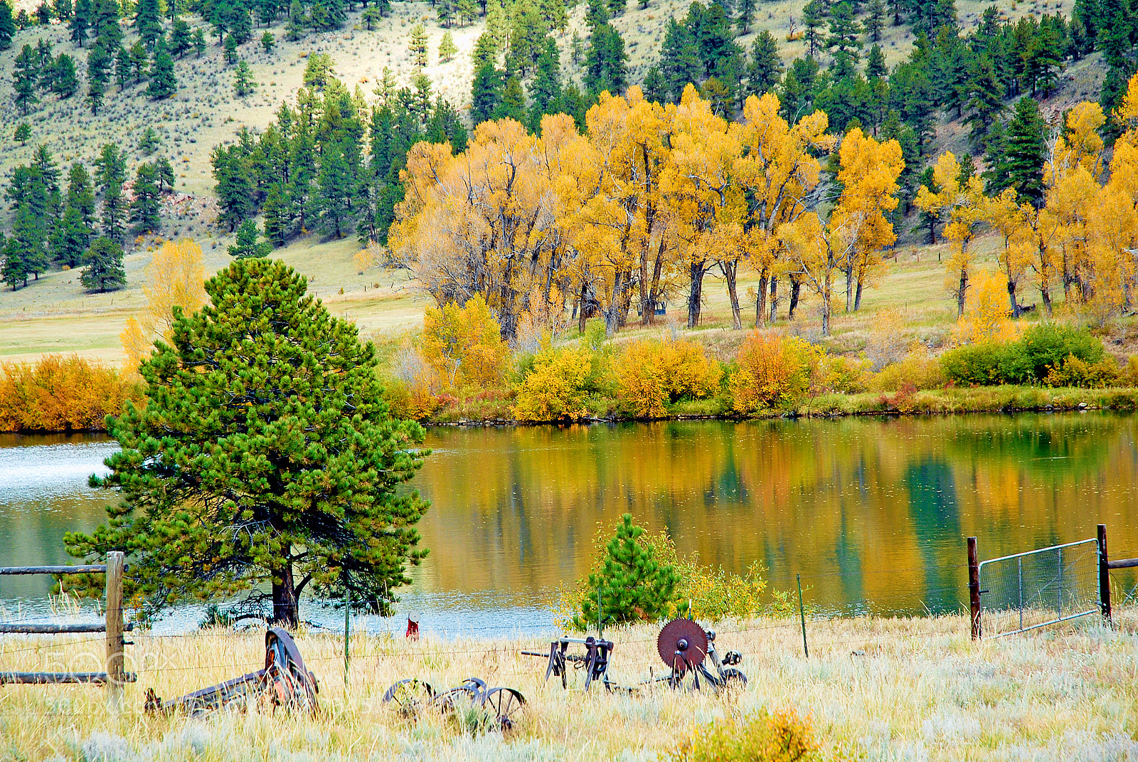Nikon D200 sample photo. Ranch pond in autumn photography