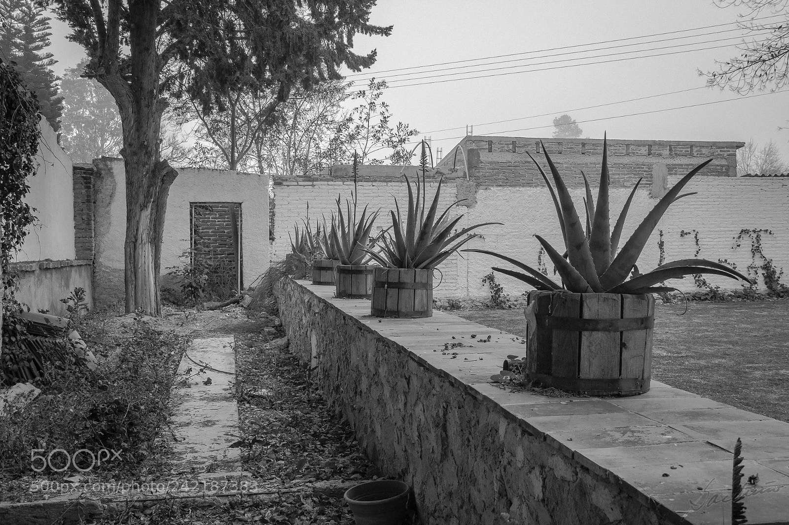 Canon EOS 60D sample photo. Where do we go photography
