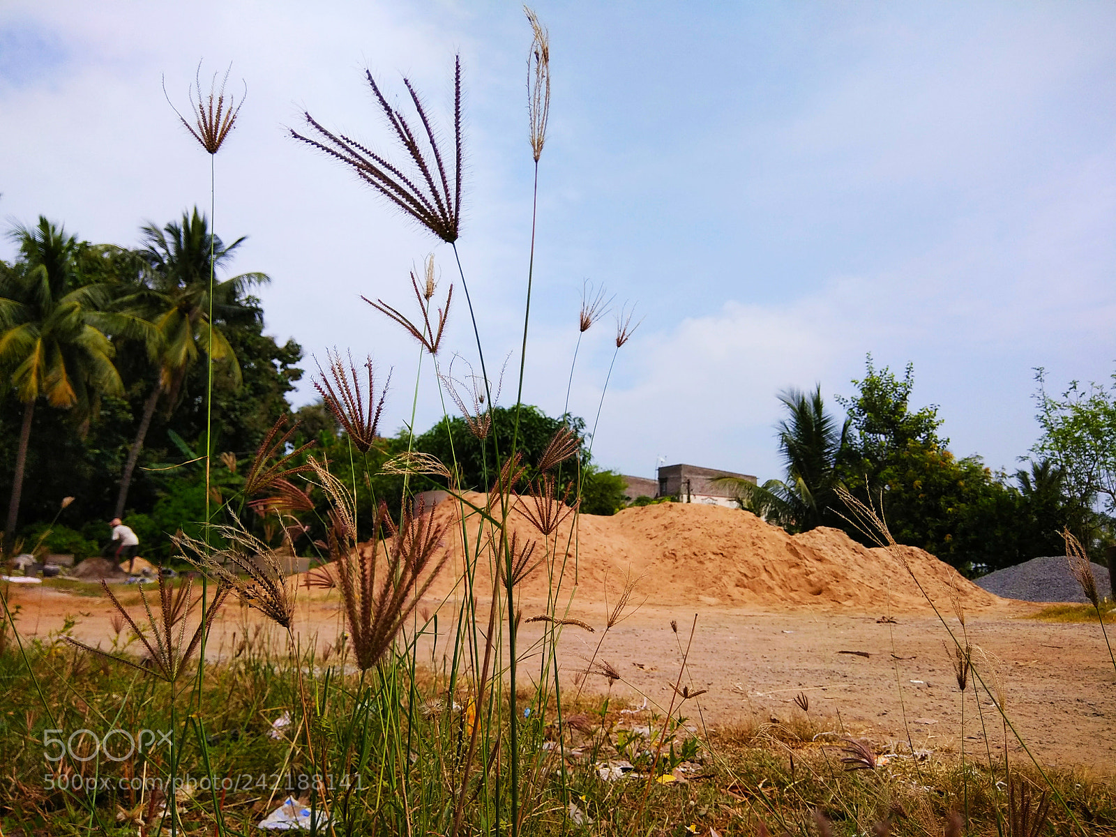 Xiaomi Redmi Note 4 sample photo. Untitled photography