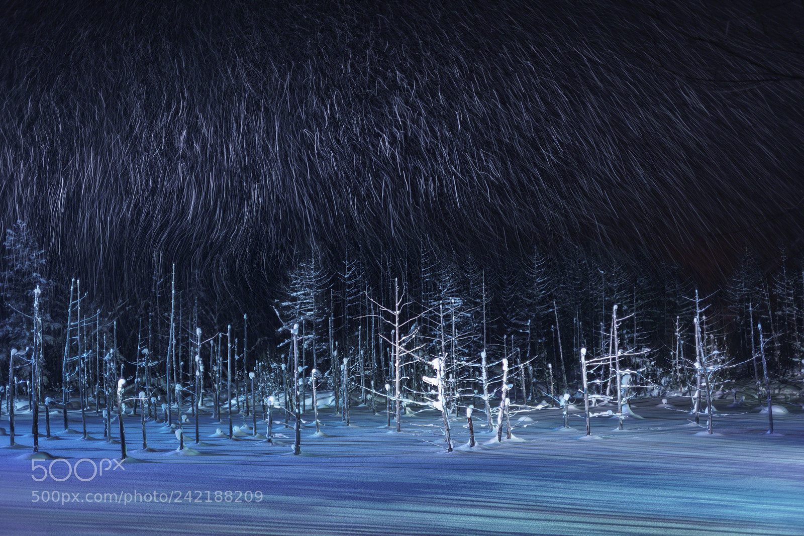 Sony a7R III sample photo. Locus of snow photography