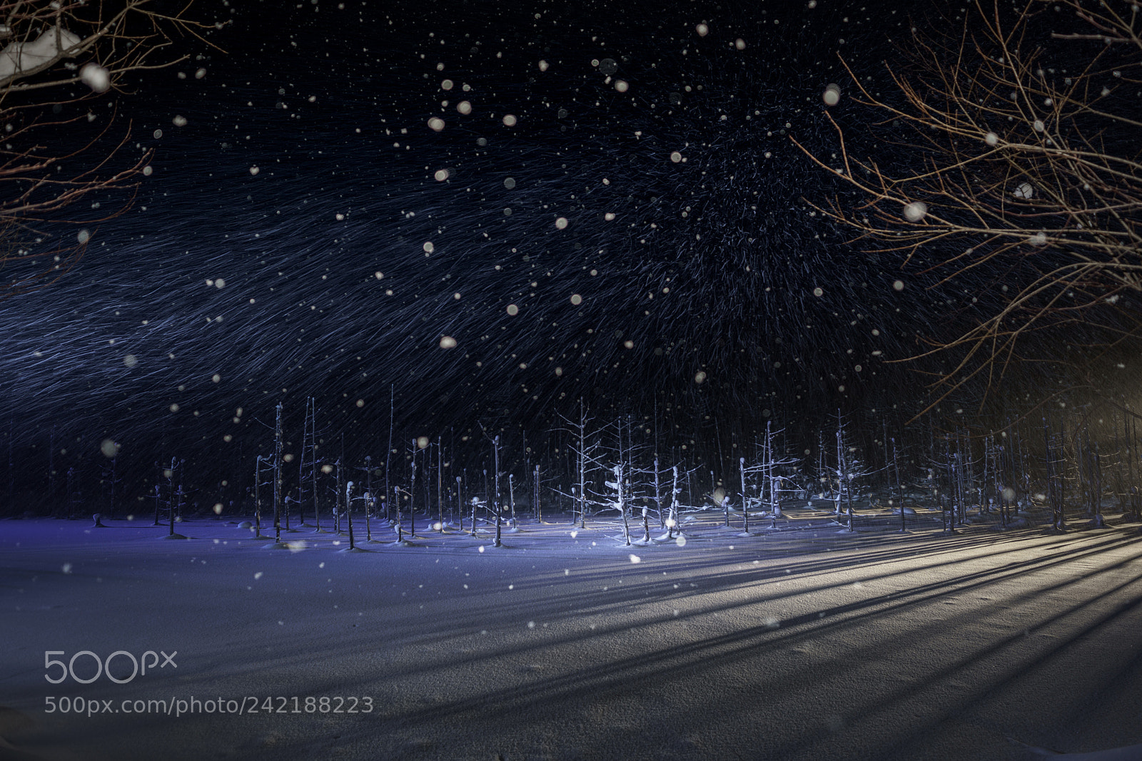 Sony a7R III sample photo. Snow fall photography