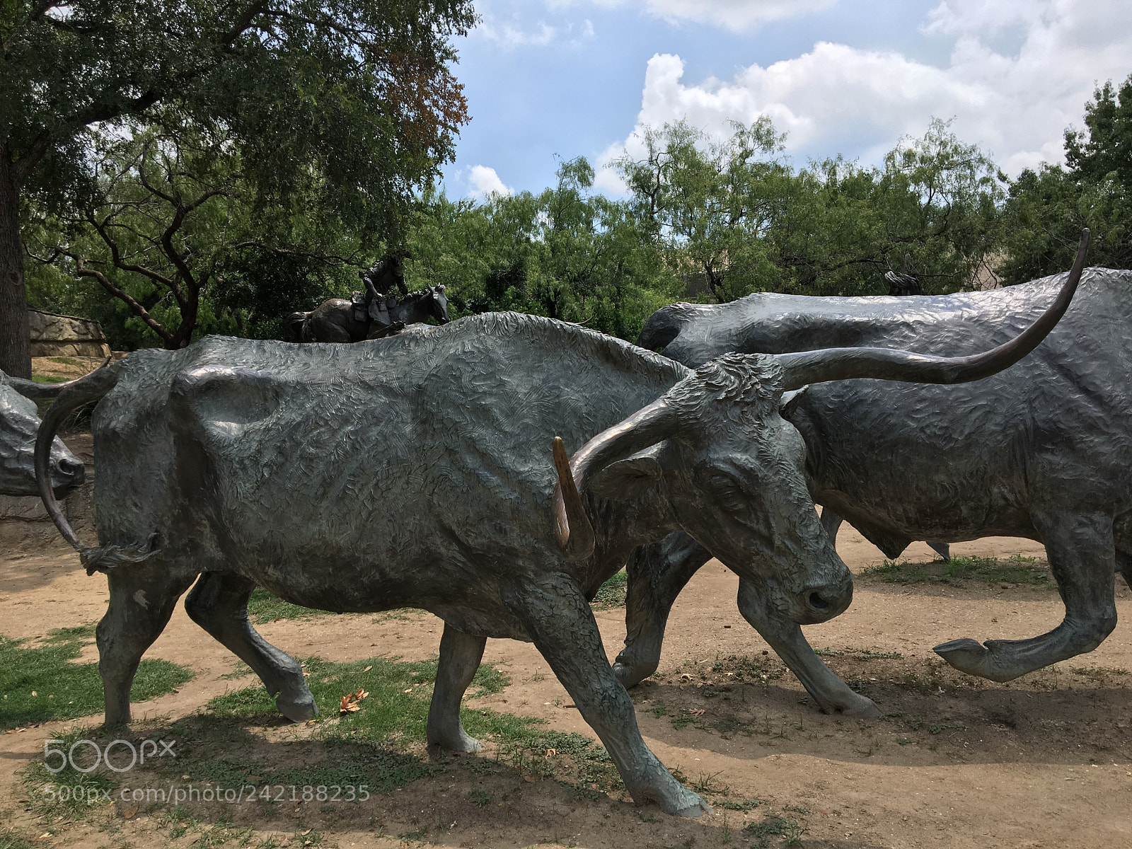 Apple iPhone 6s sample photo. Texas photography