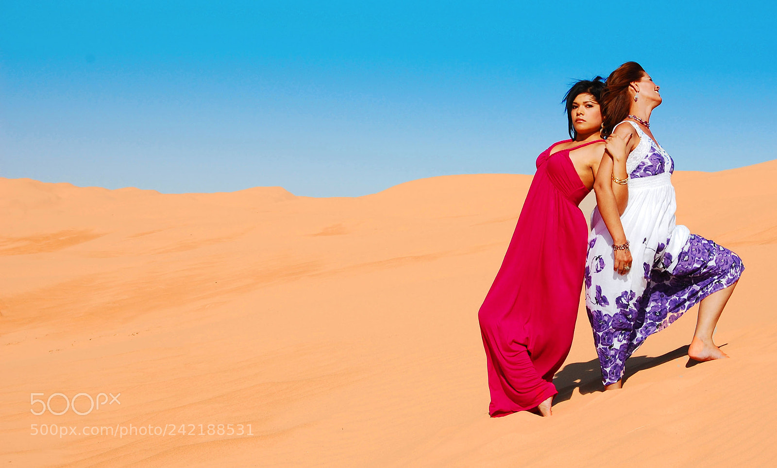 Nikon D40 sample photo. On the dunes photography