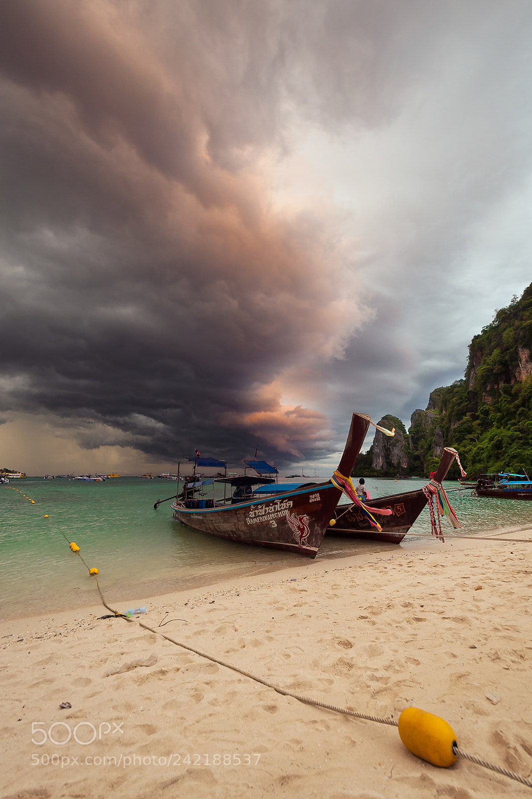 Nikon D5000 sample photo. Towards the storm photography