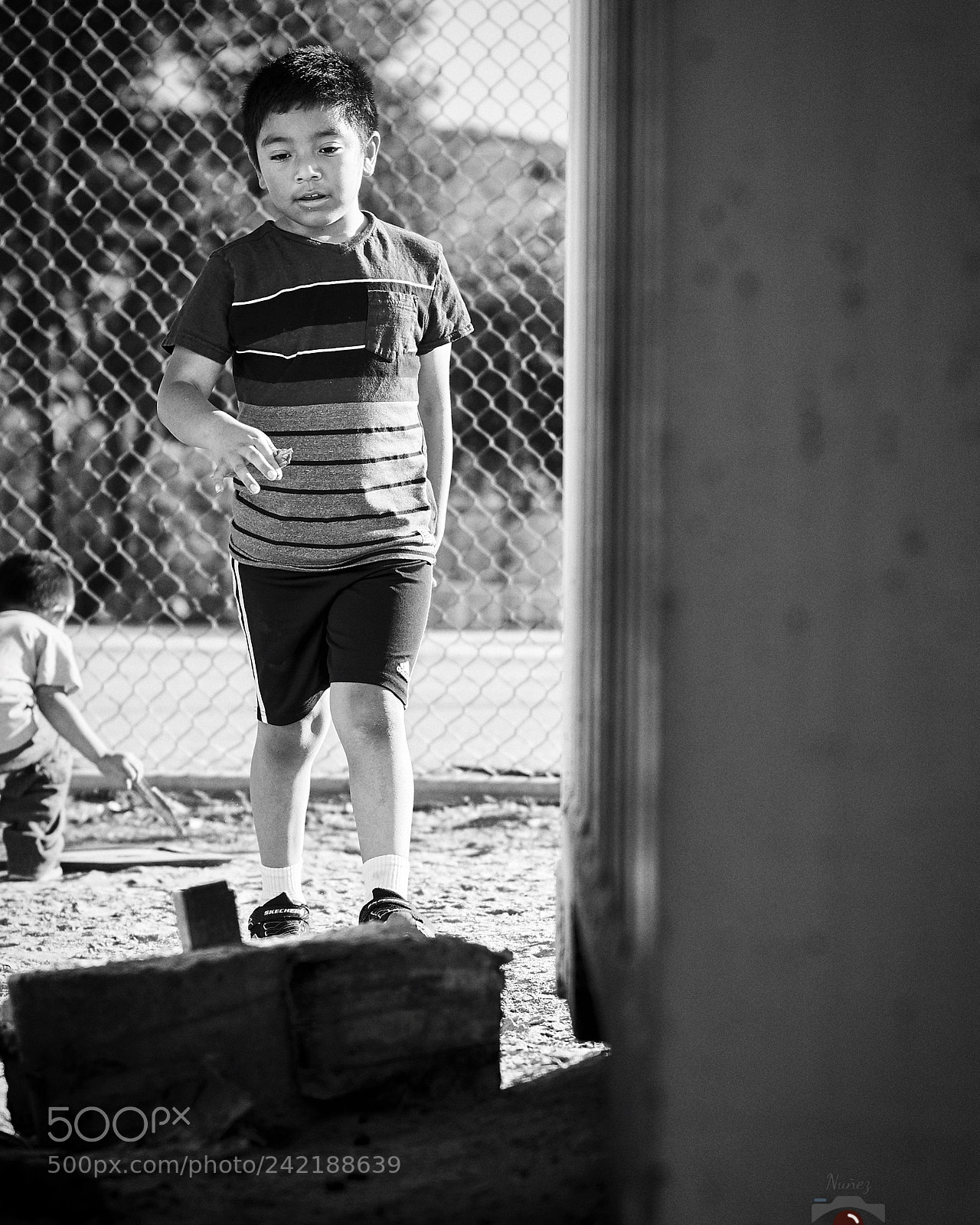 Sony ILCA-77M2 sample photo. Untitled photography