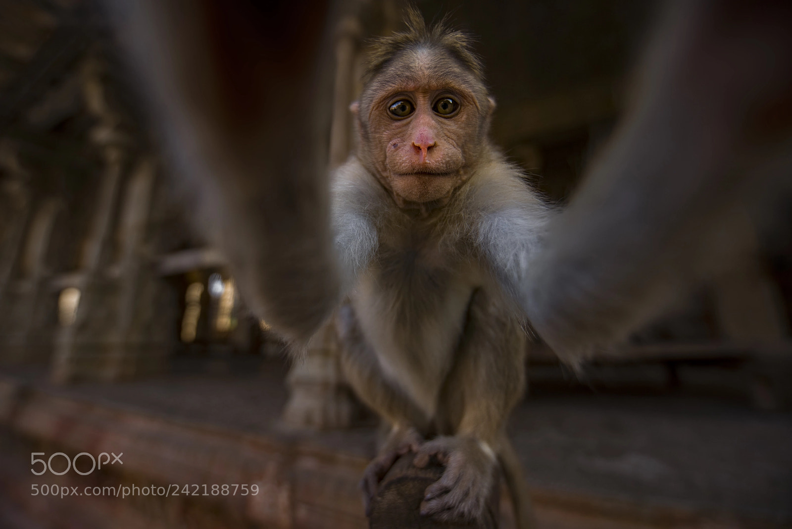 Nikon D810 sample photo. Click me please. photography