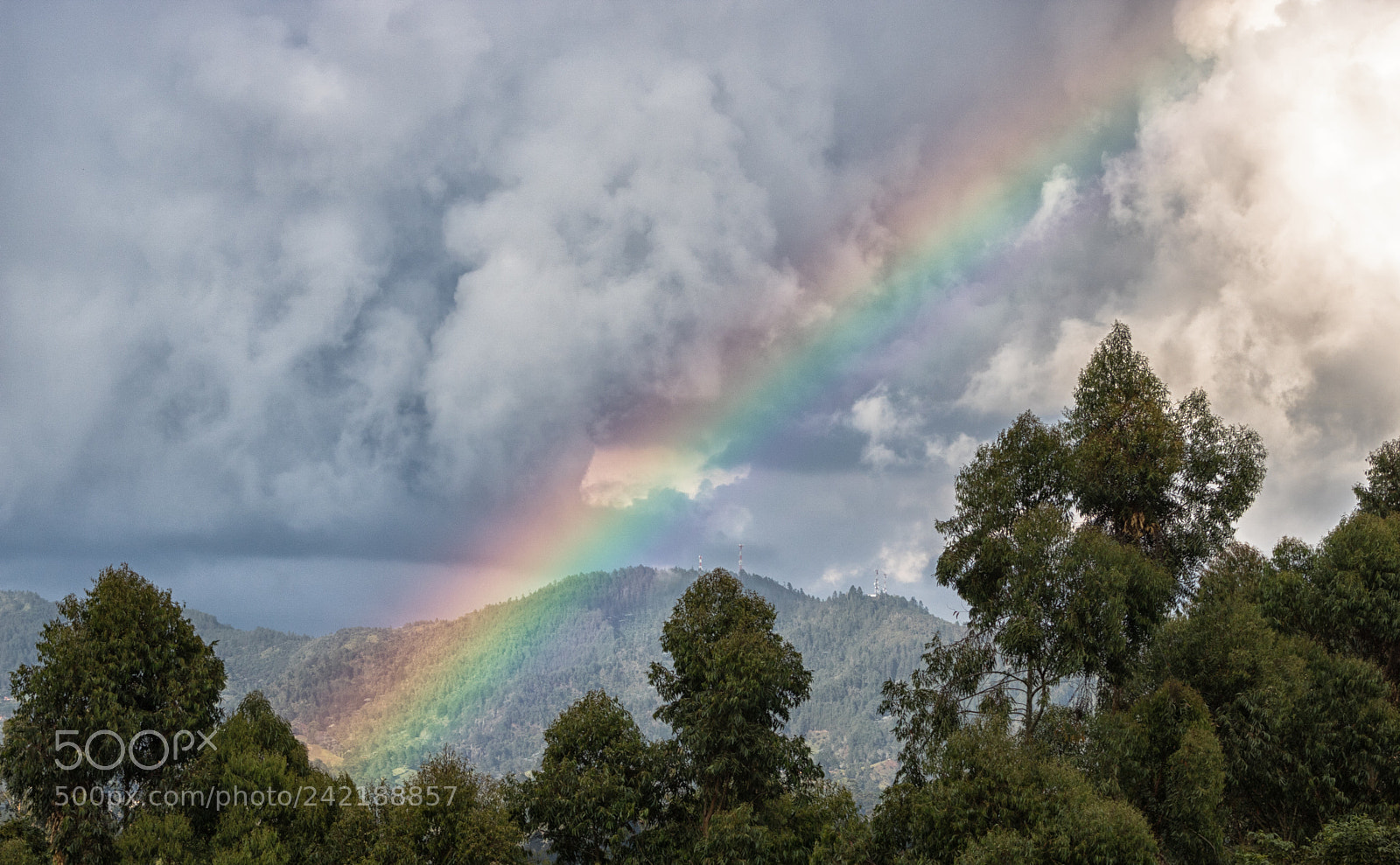 Canon EOS 750D (EOS Rebel T6i / EOS Kiss X8i) sample photo. Rainbow photography