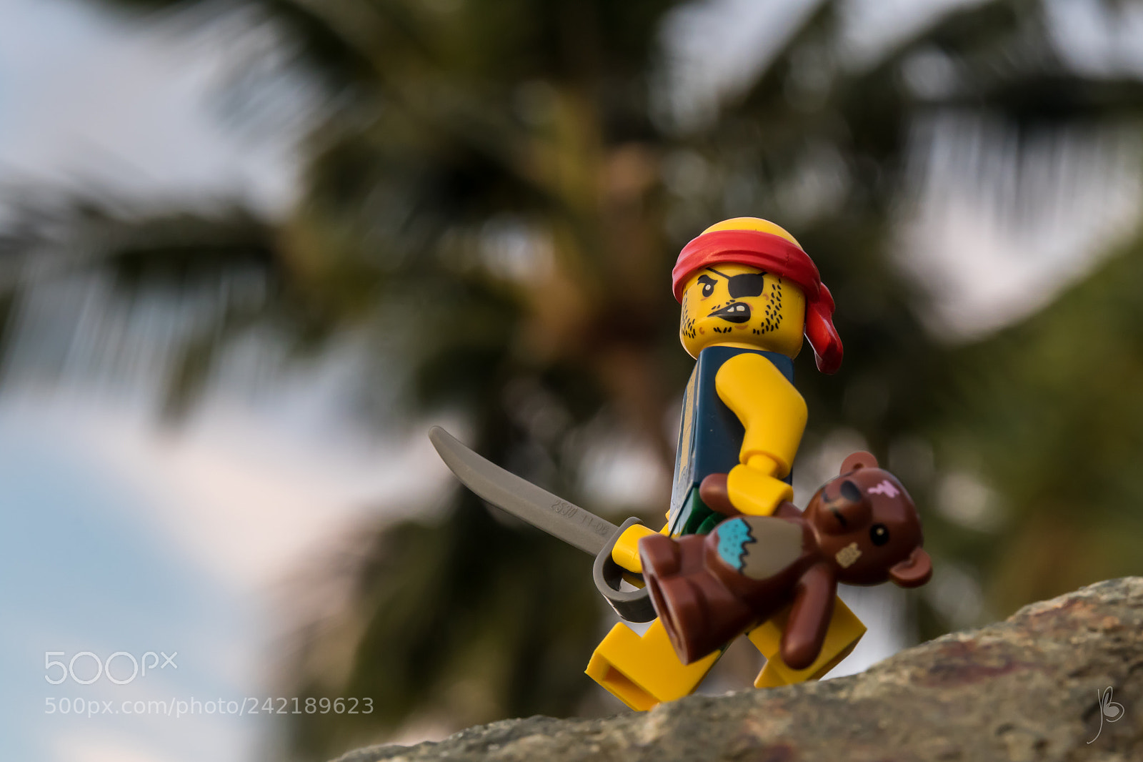 Canon EOS 7D Mark II sample photo. Pirate and teddy bear photography
