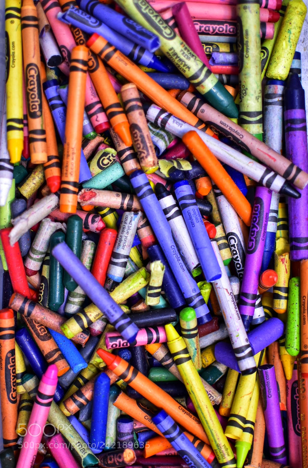 Nikon D5600 sample photo. Color photography