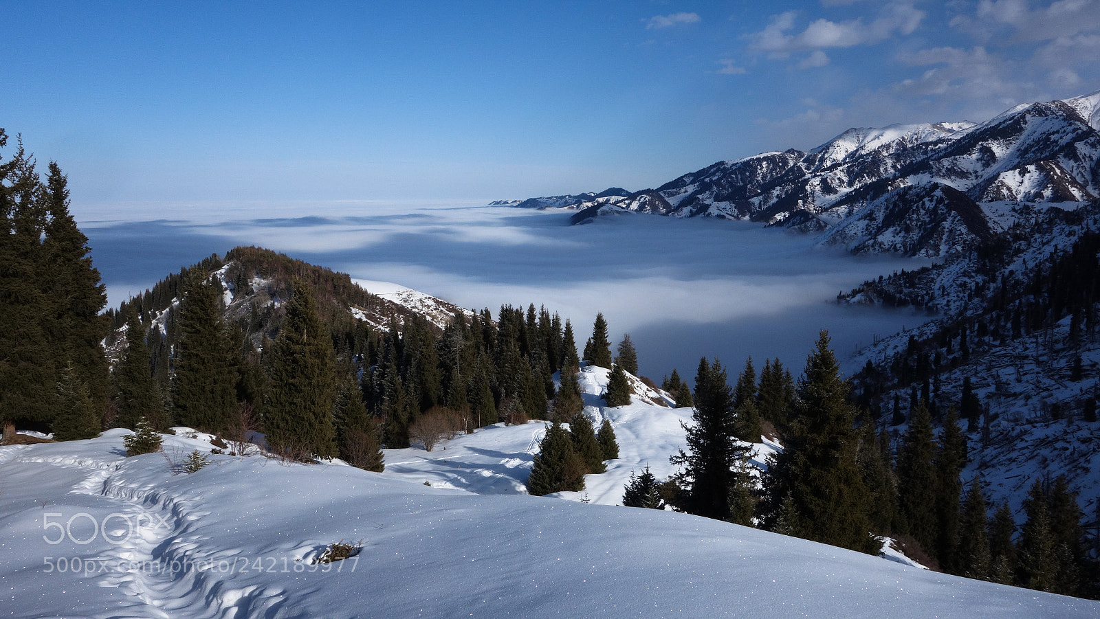 Sony Cyber-shot DSC-RX100 sample photo. Sea of clouds 4 photography