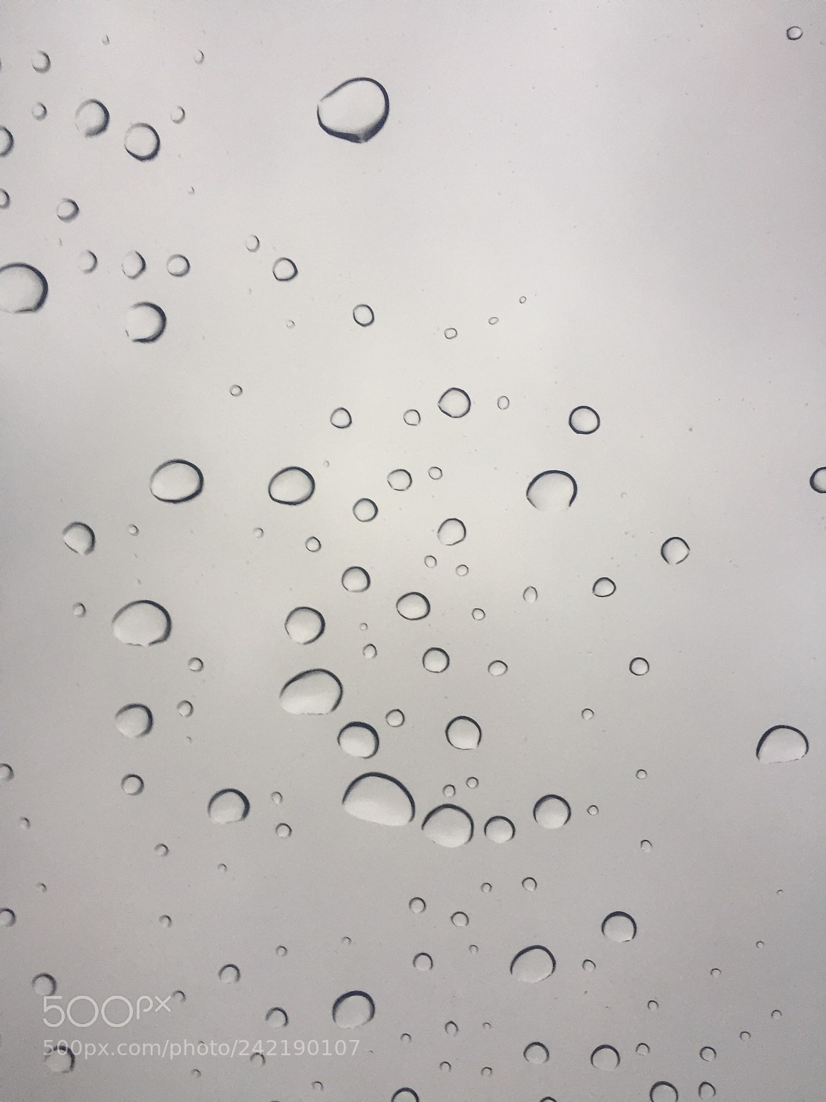 Apple iPhone 6 sample photo. Img photography