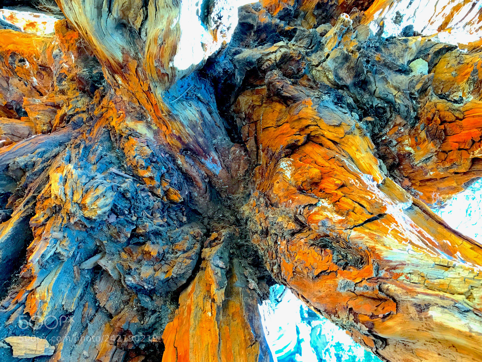 Apple iPhone 7 Plus sample photo. California desert colors photography