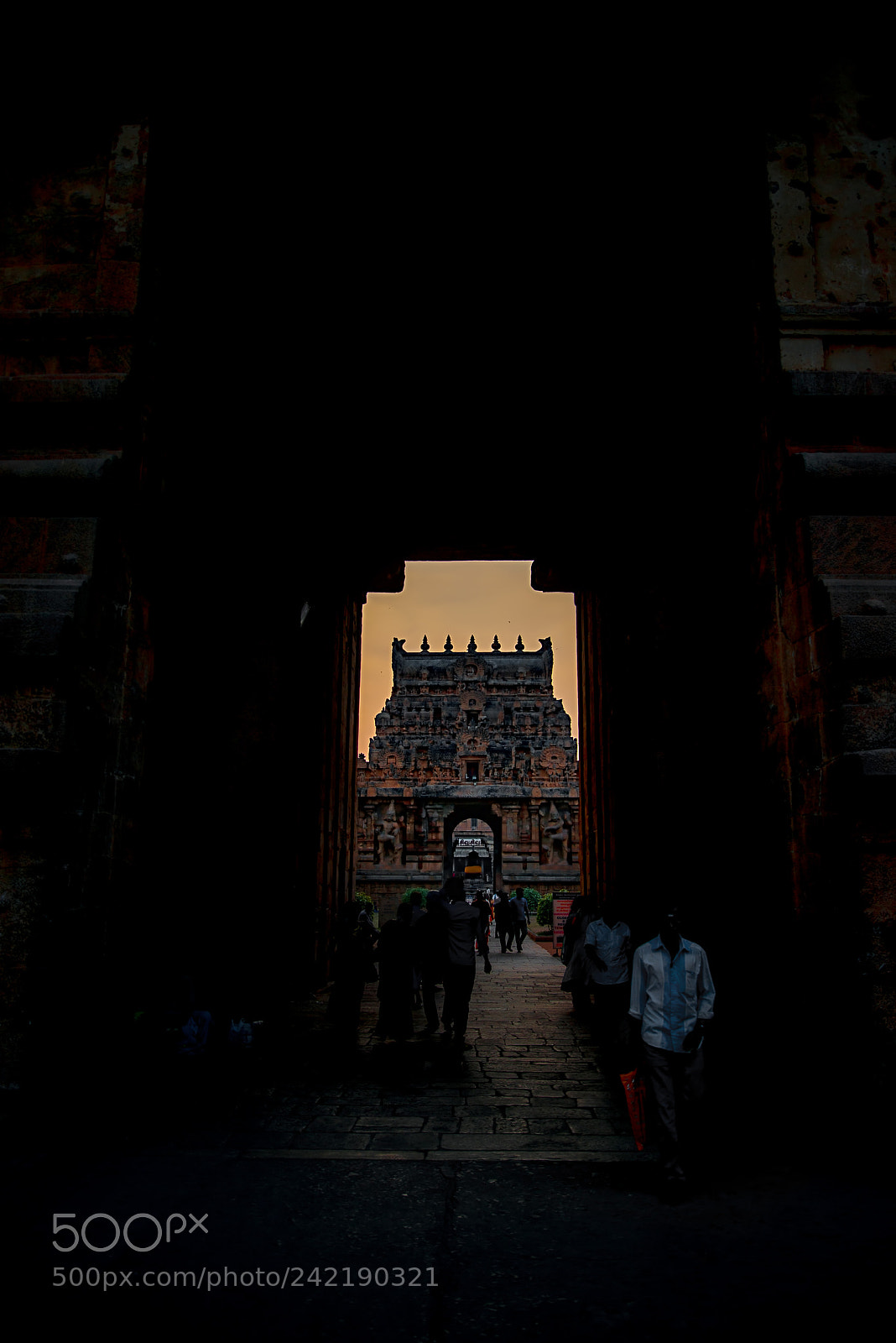 Nikon D800E sample photo. Golden hour photography