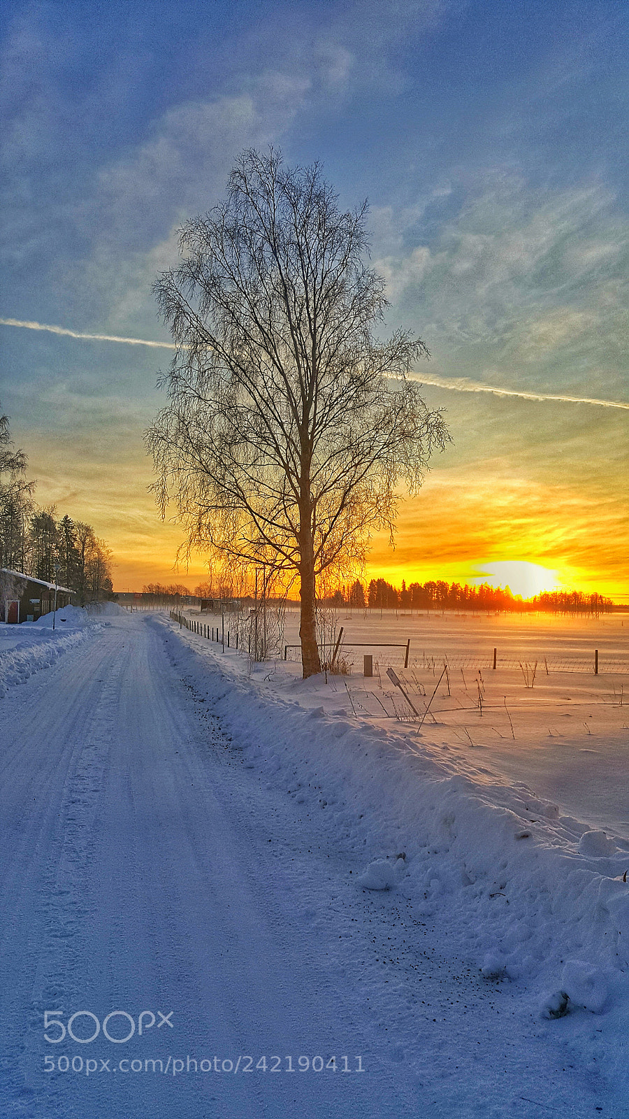 Samsung Galaxy S6 sample photo. A winter morning photography
