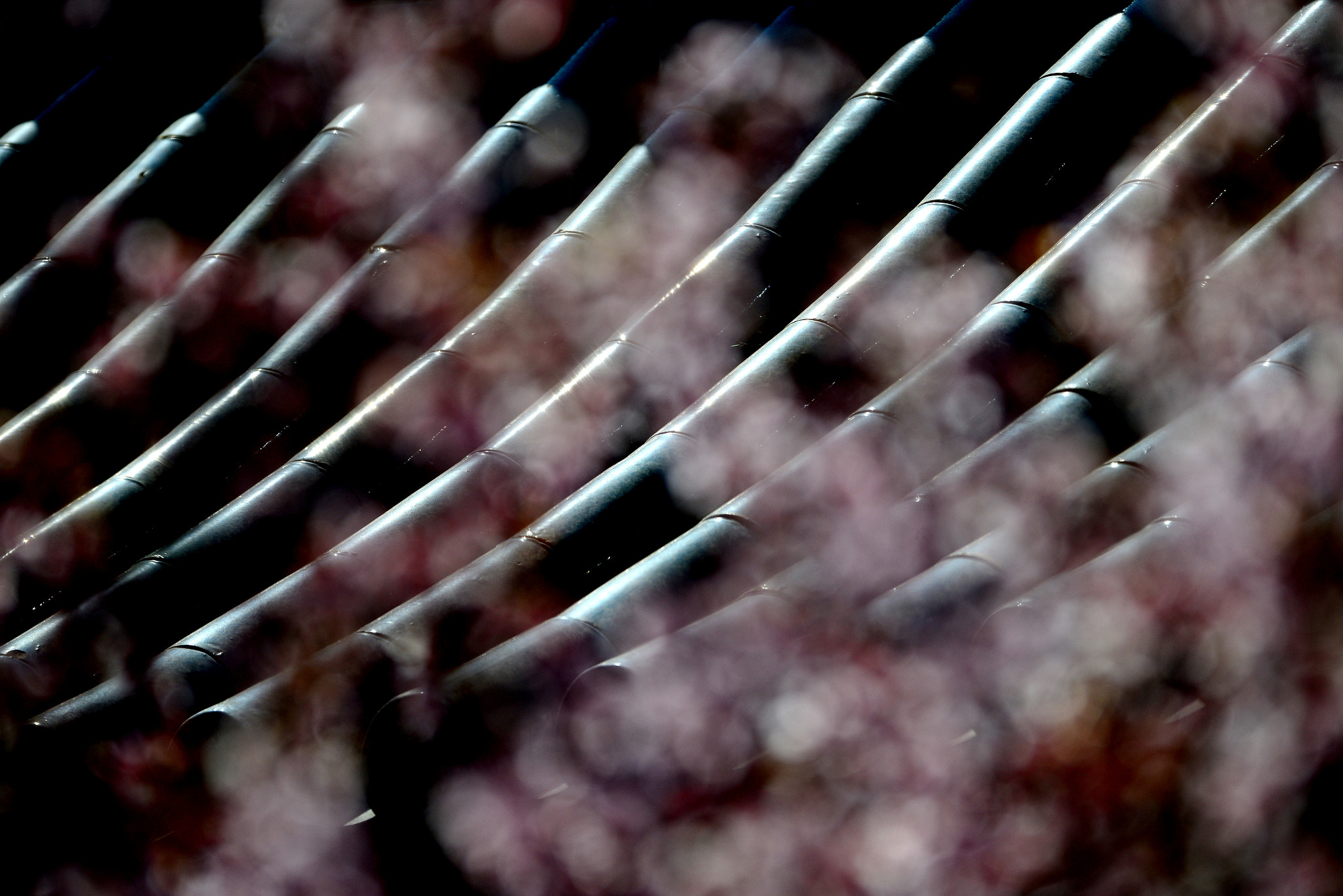 Nikon D800 sample photo