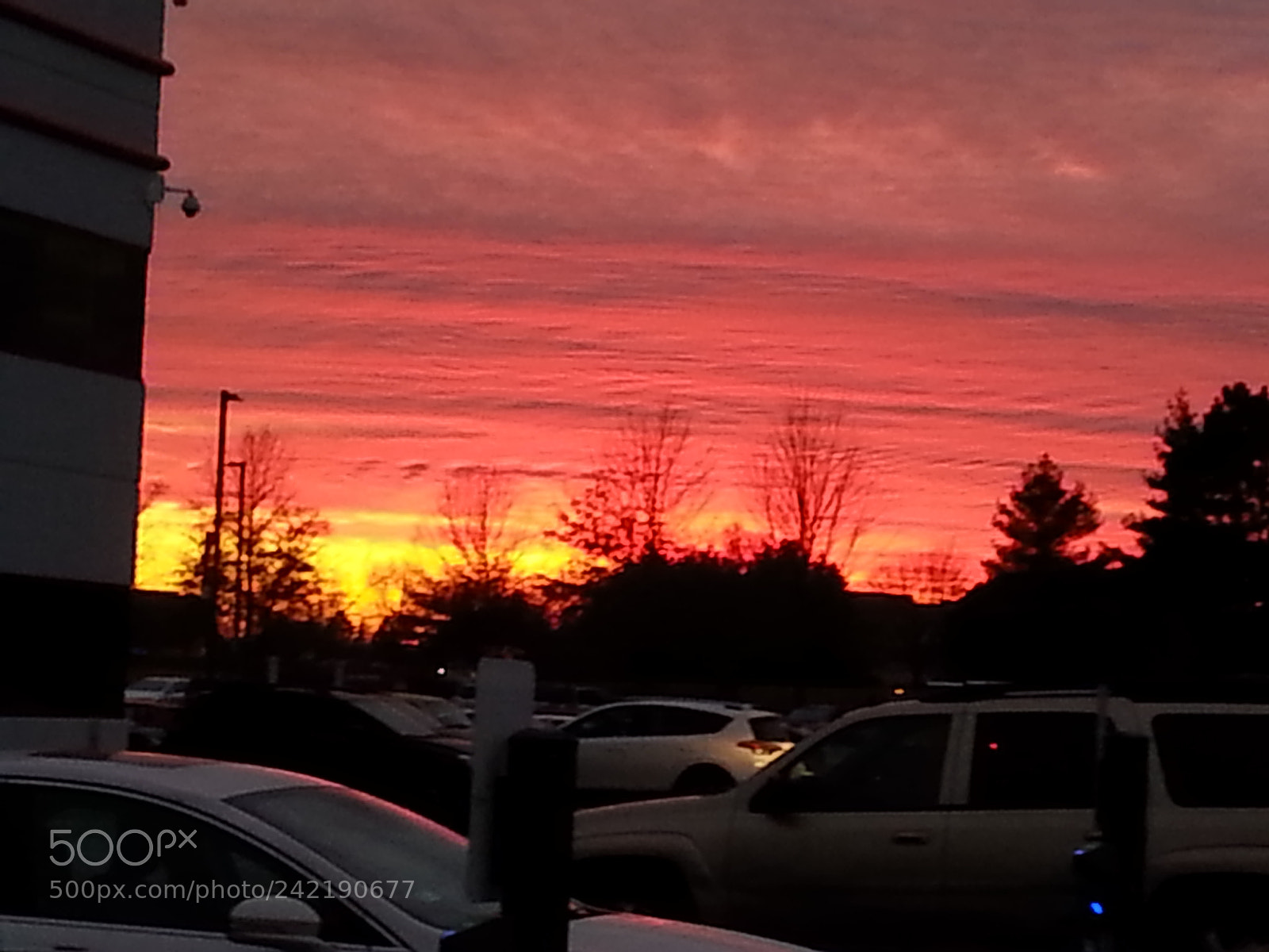Samsung Galaxy S3 sample photo. Untitled photography