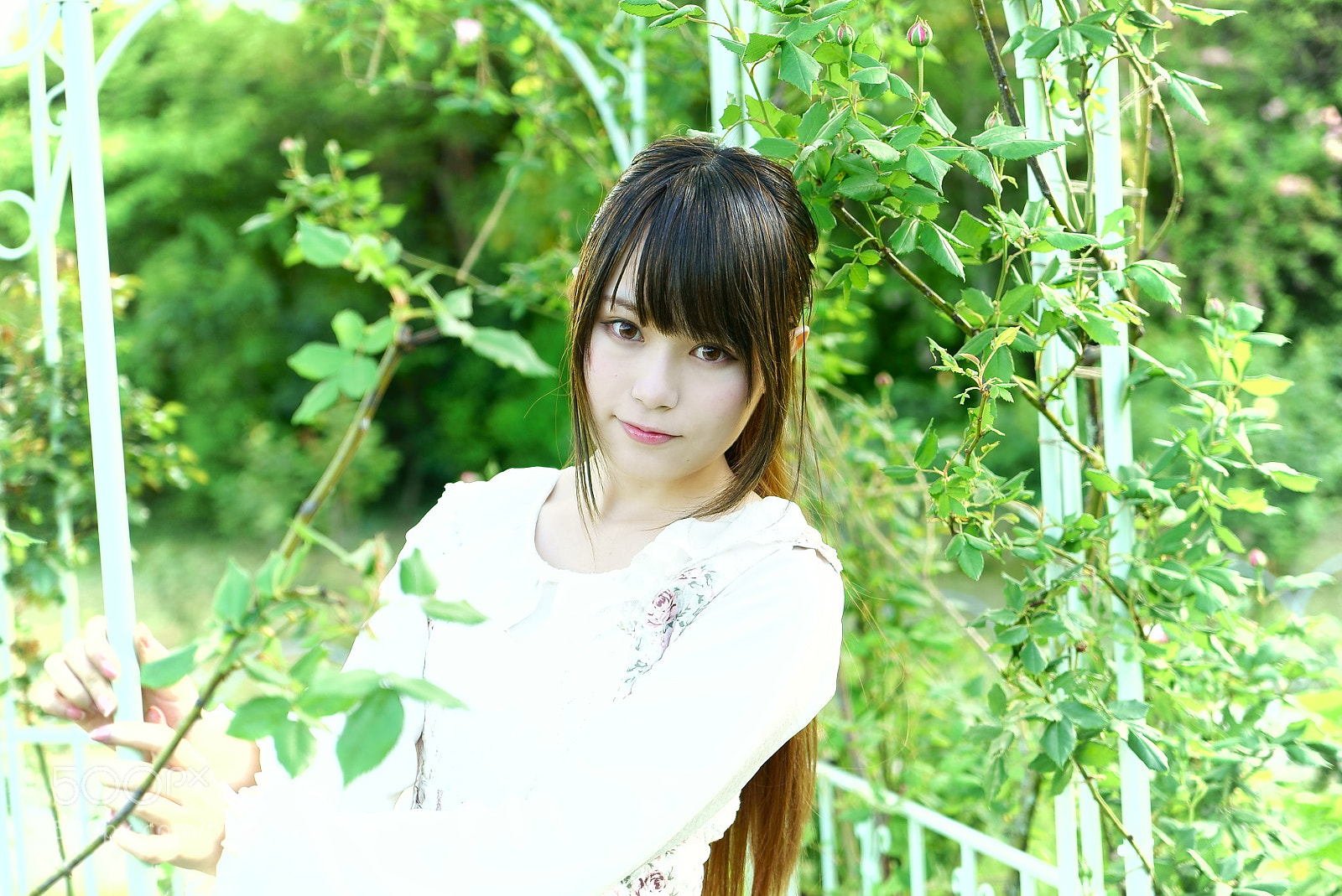 Sony a7S sample photo. 芝公園 photography