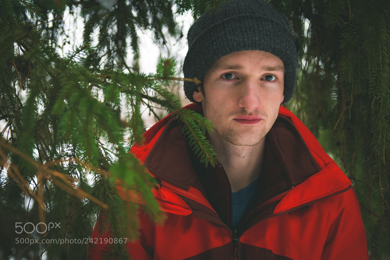 Nikon D500 sample photo. Winter self portrait photography