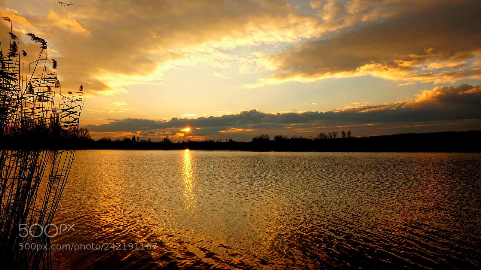 Sony Alpha a5000 (ILCE 5000) sample photo. Windy sunset on the photography