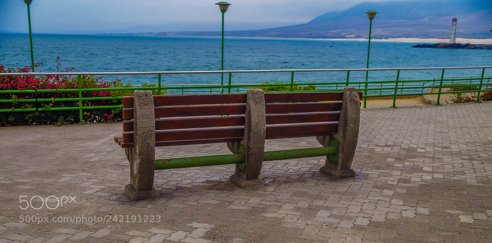 Sony SLT-A37 sample photo. Untitled photography