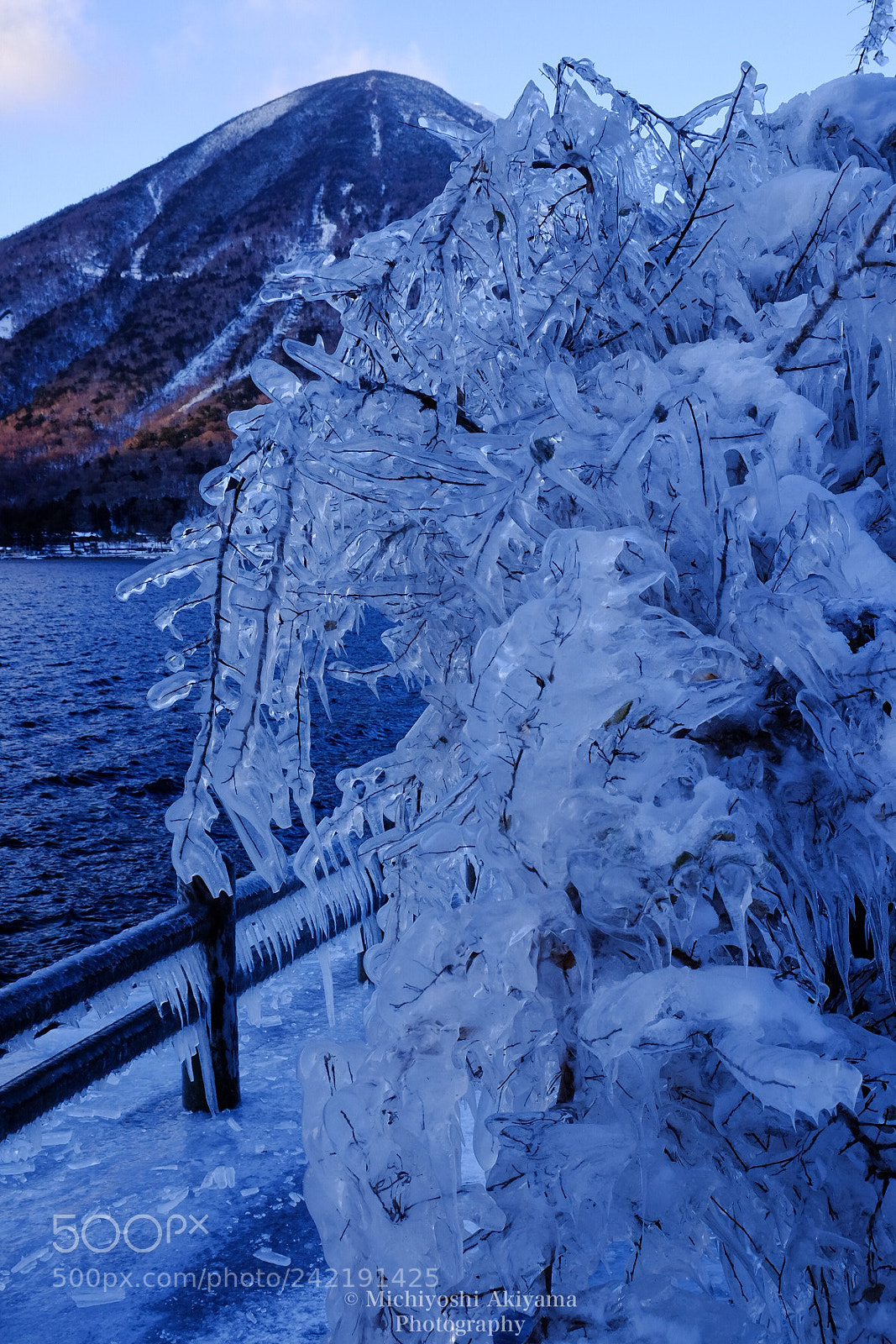 Fujifilm X-T1 sample photo. Ice art photography
