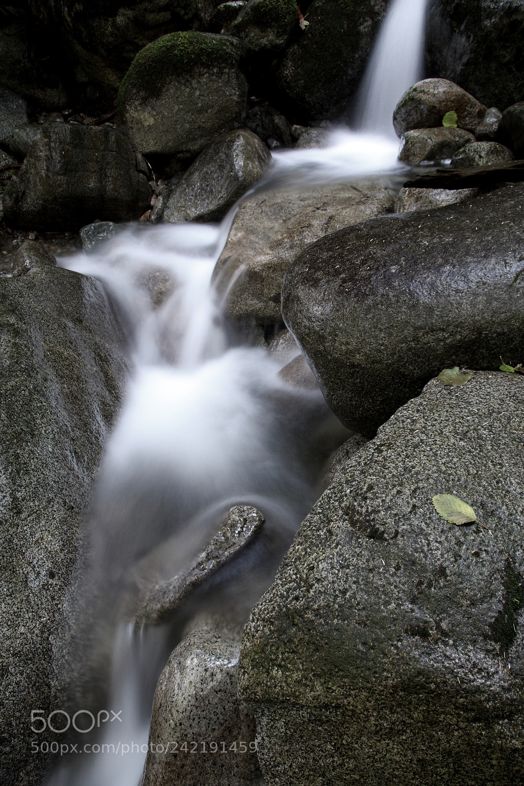 Canon EOS 40D sample photo. Eden photography