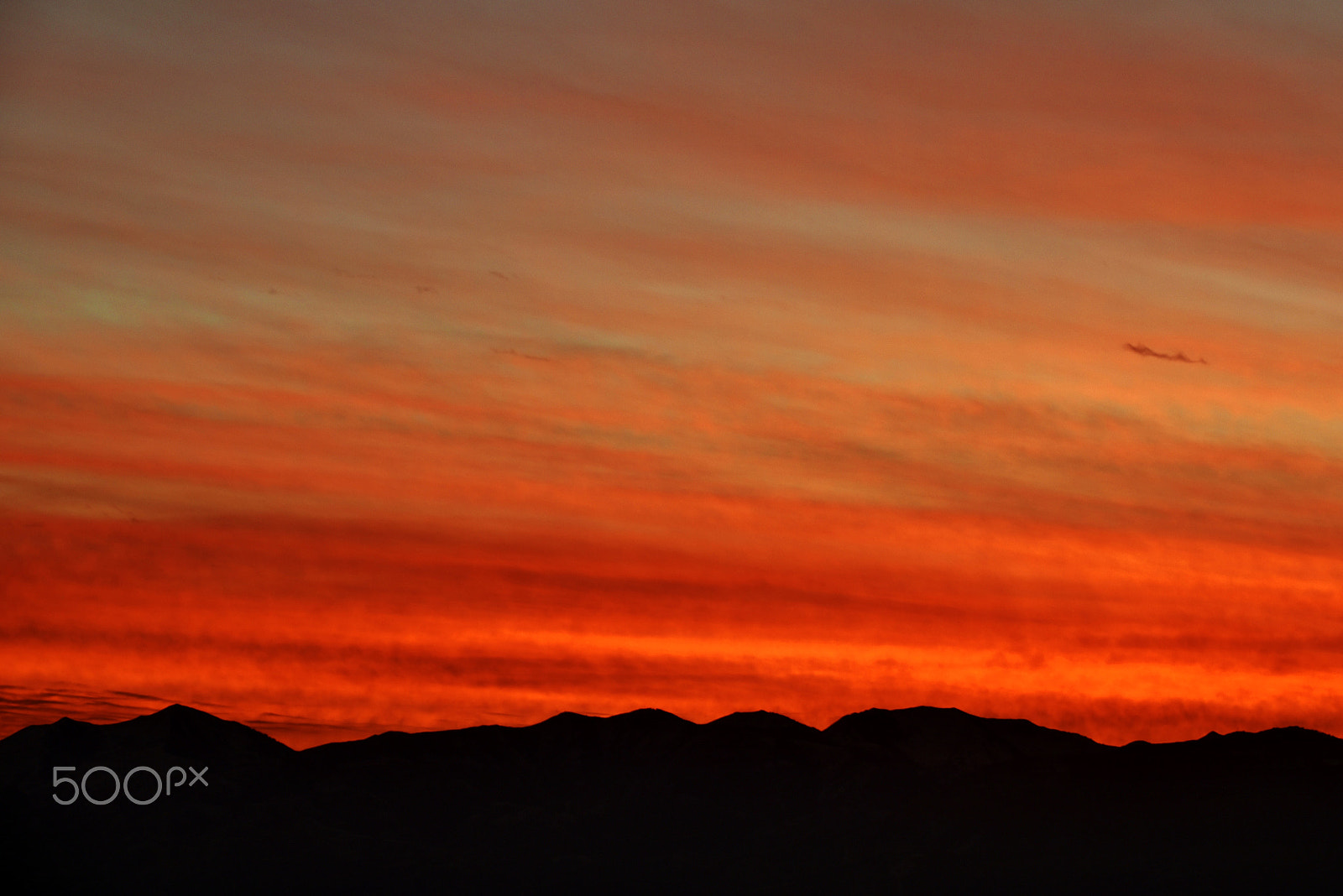 Nikon D5500 sample photo. Bleeding sunlight photography