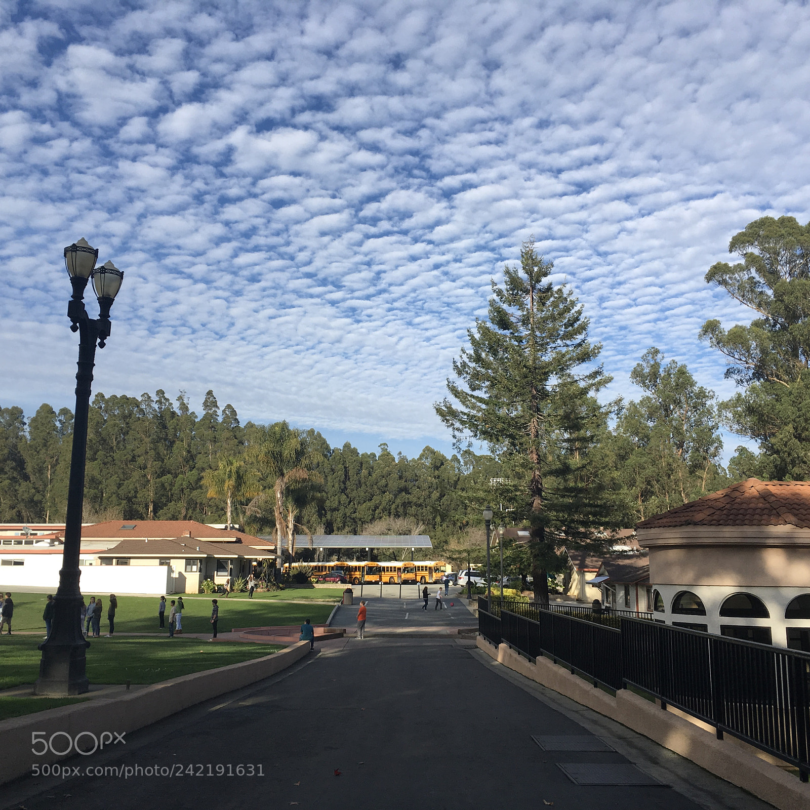 Apple iPad Pro sample photo. Untitled photography