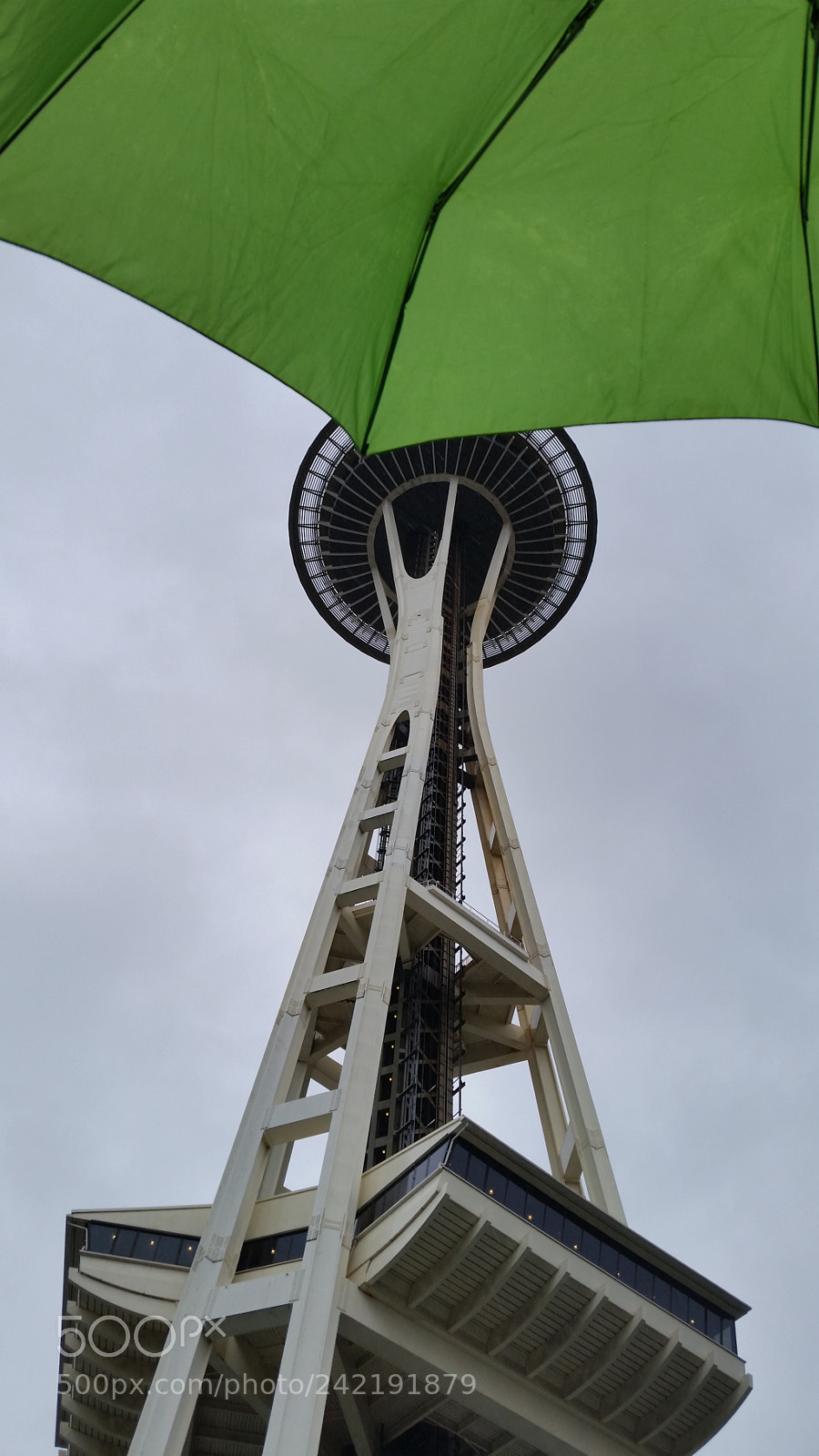 Samsung Galaxy S5 sample photo. Rain needle photography