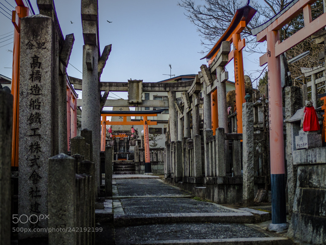 Olympus OM-D E-M10 sample photo. Kyoto photography
