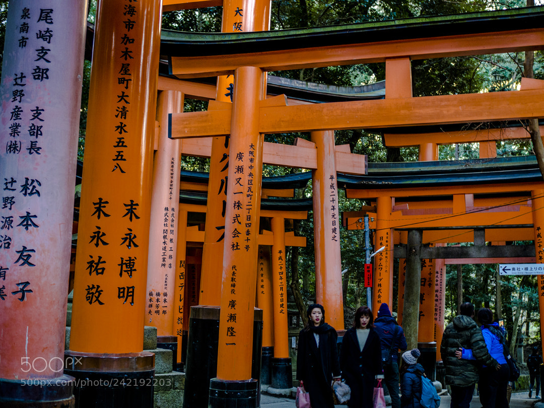 Olympus OM-D E-M10 sample photo. Kyoto photography