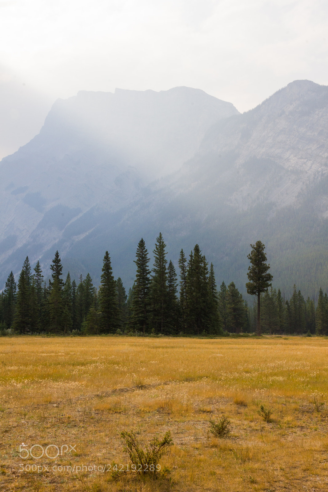 Canon EOS 550D (EOS Rebel T2i / EOS Kiss X4) sample photo. Banff, canada photography