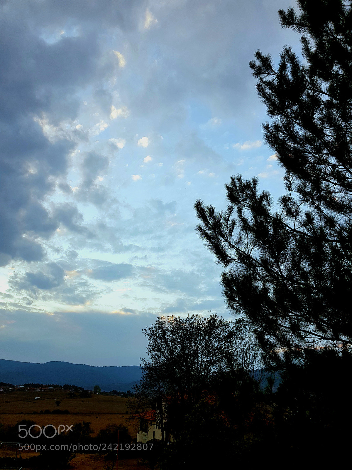 Samsung Galaxy S8+ sample photo. Untitled photography