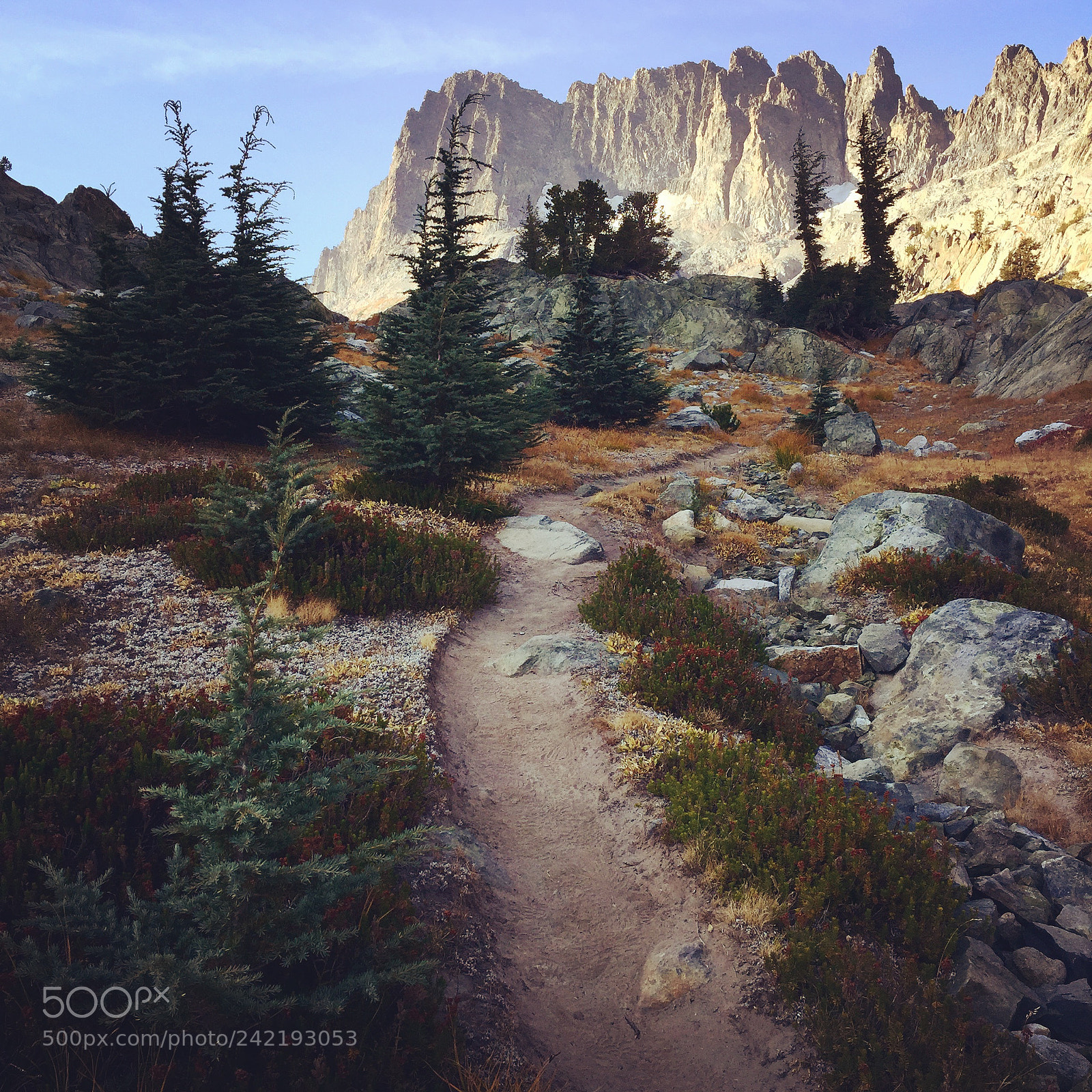 Apple iPhone 6 sample photo. Trail to happiness. photography