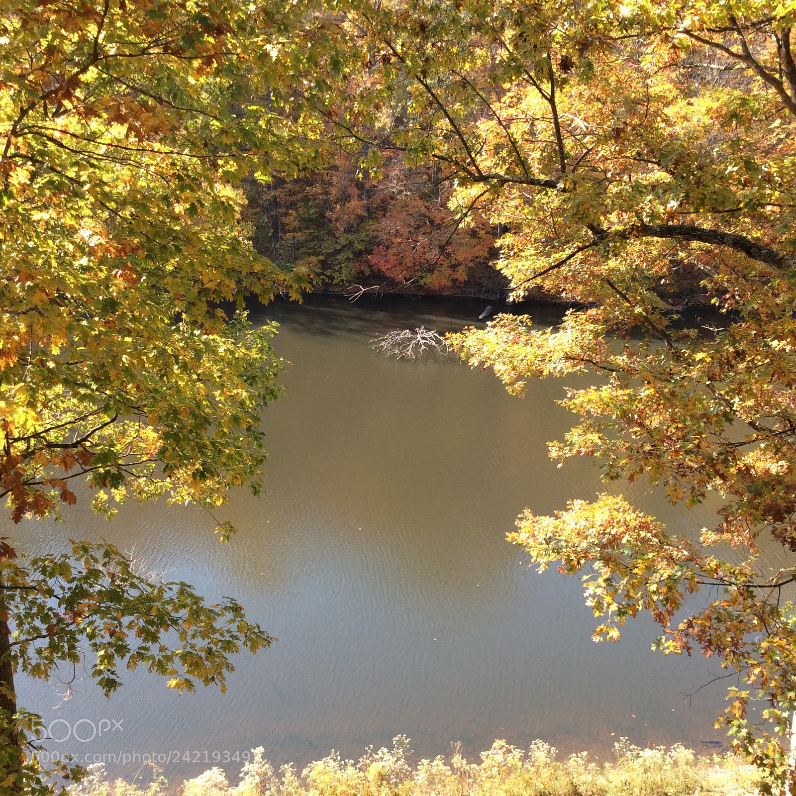 Apple iPad mini 2 sample photo. Fall in paradise photography