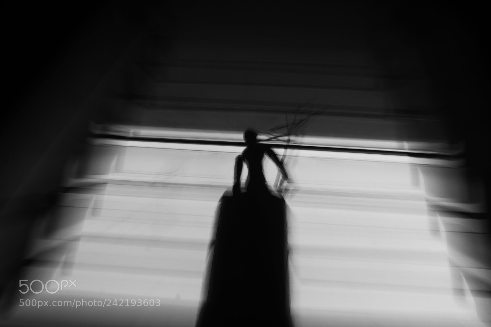 Canon EOS 60D sample photo. Confidence photography
