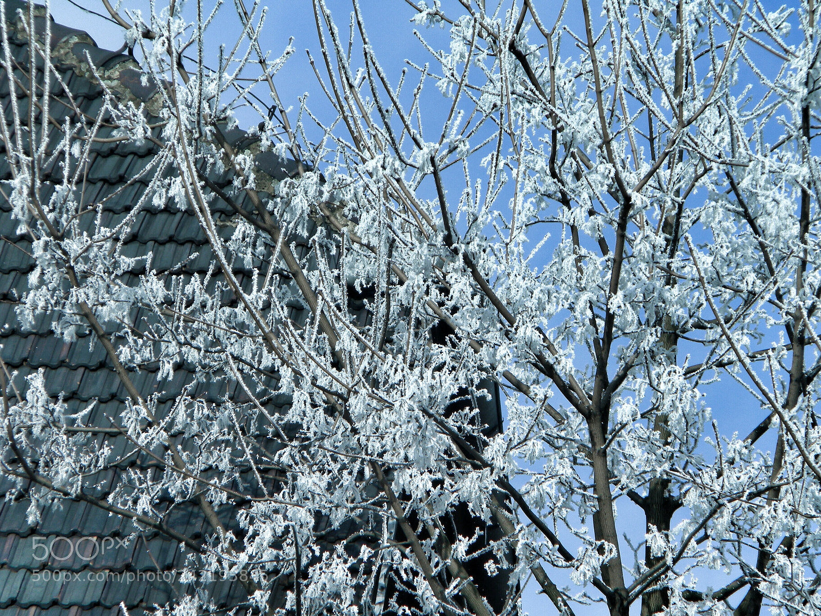Nikon Coolpix L100 sample photo. Zima6 photography