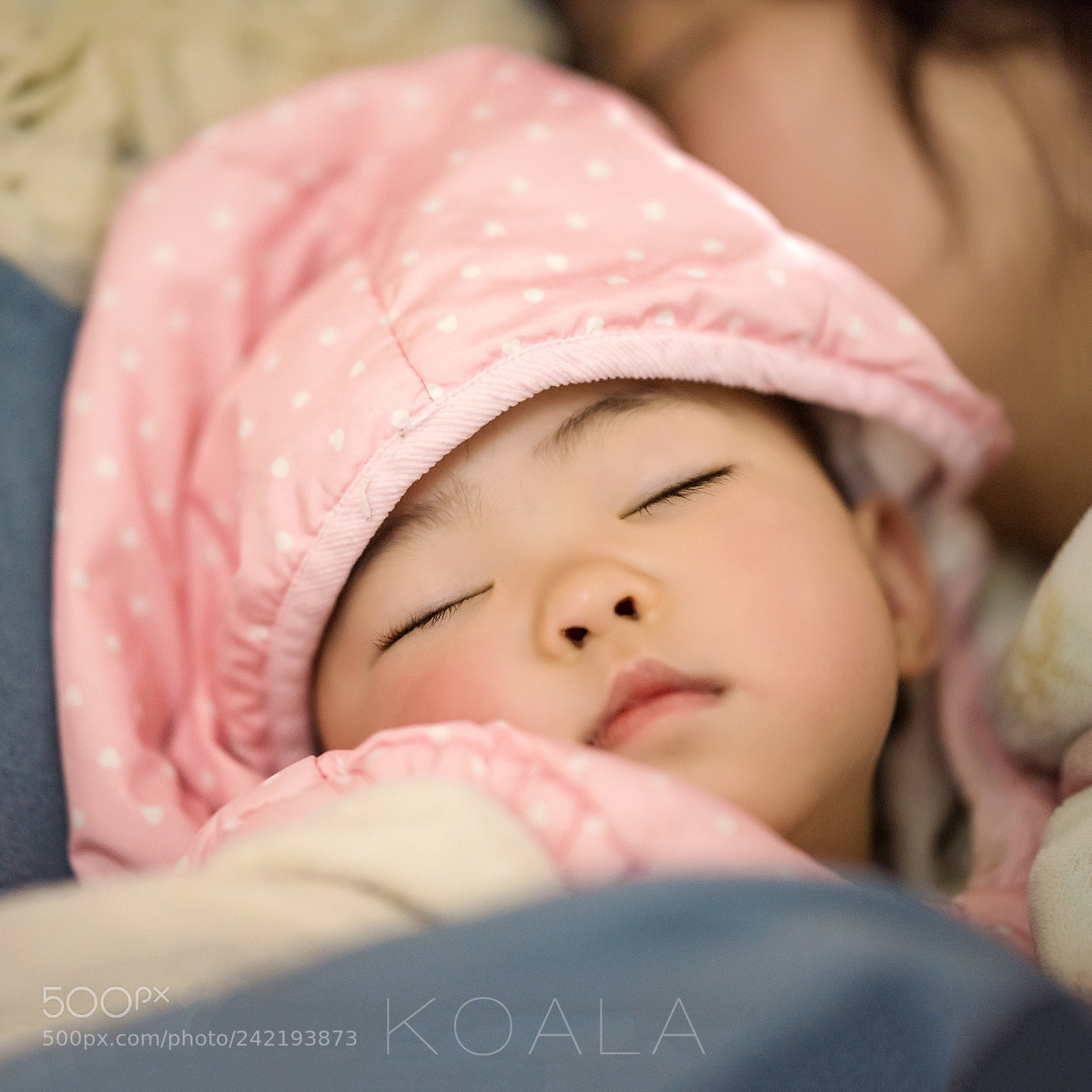 Nikon D810 sample photo. Sleeping photography