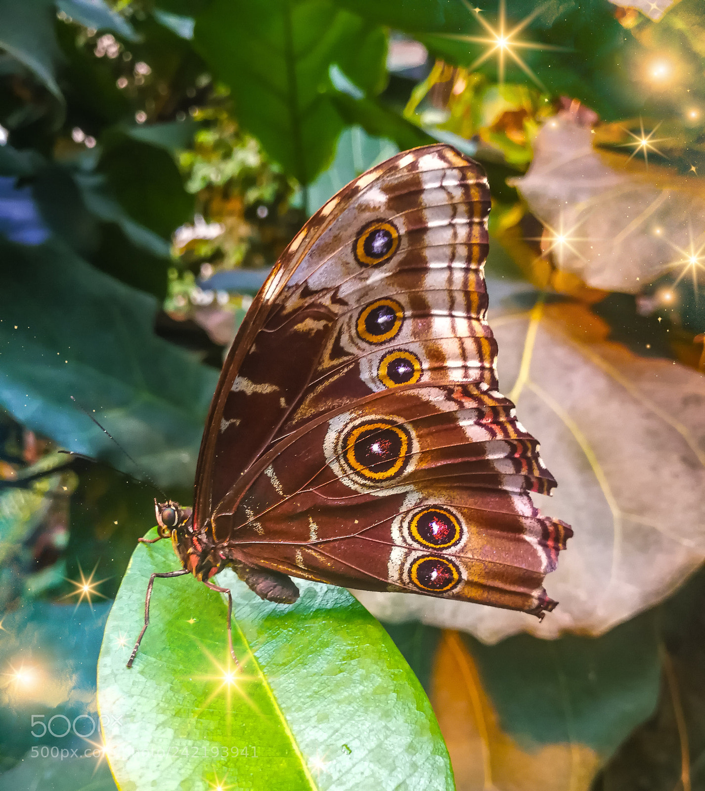 HUAWEI Mate 9 sample photo. Untitled photography