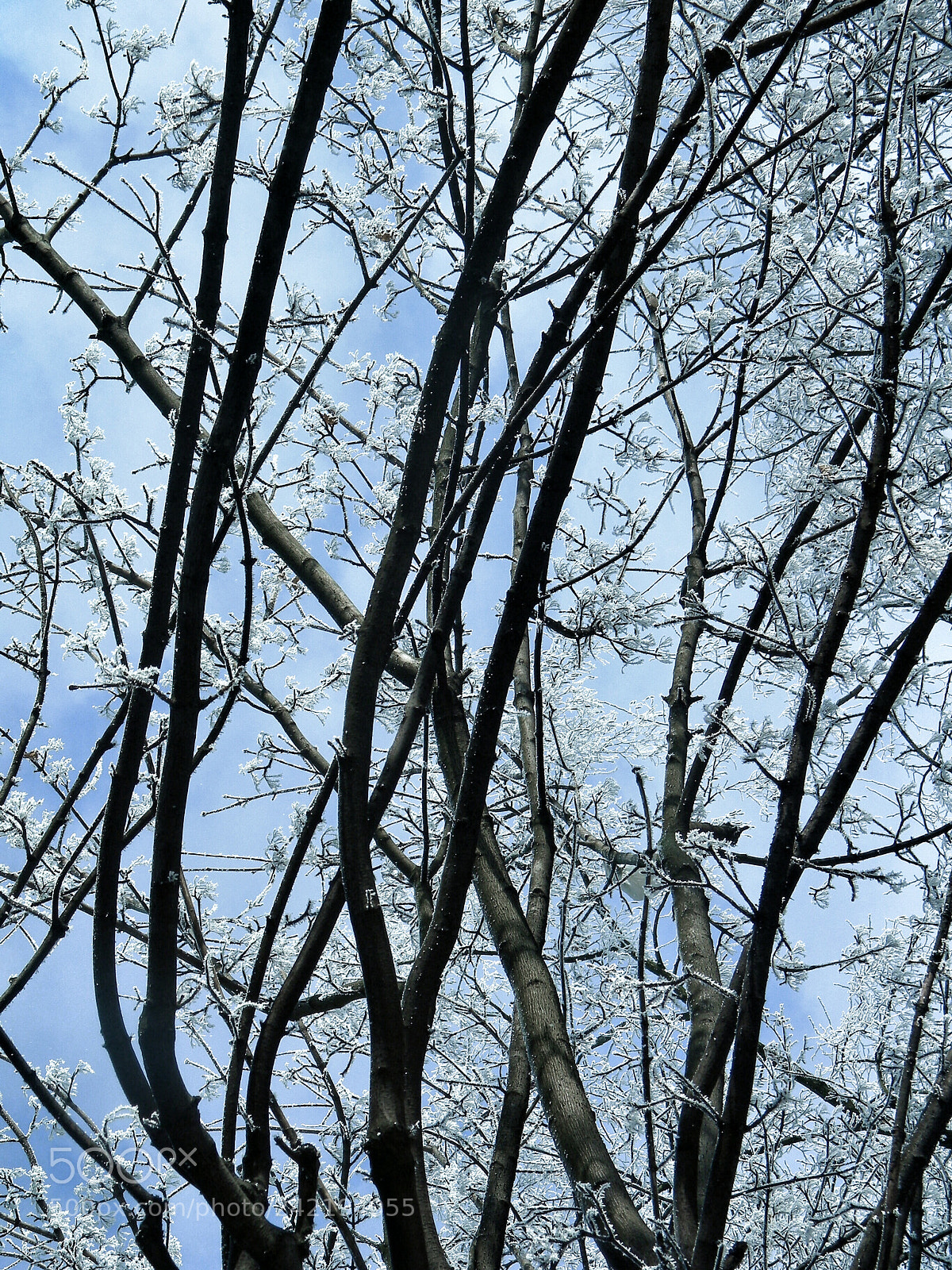 Nikon Coolpix L100 sample photo. Zima7 photography