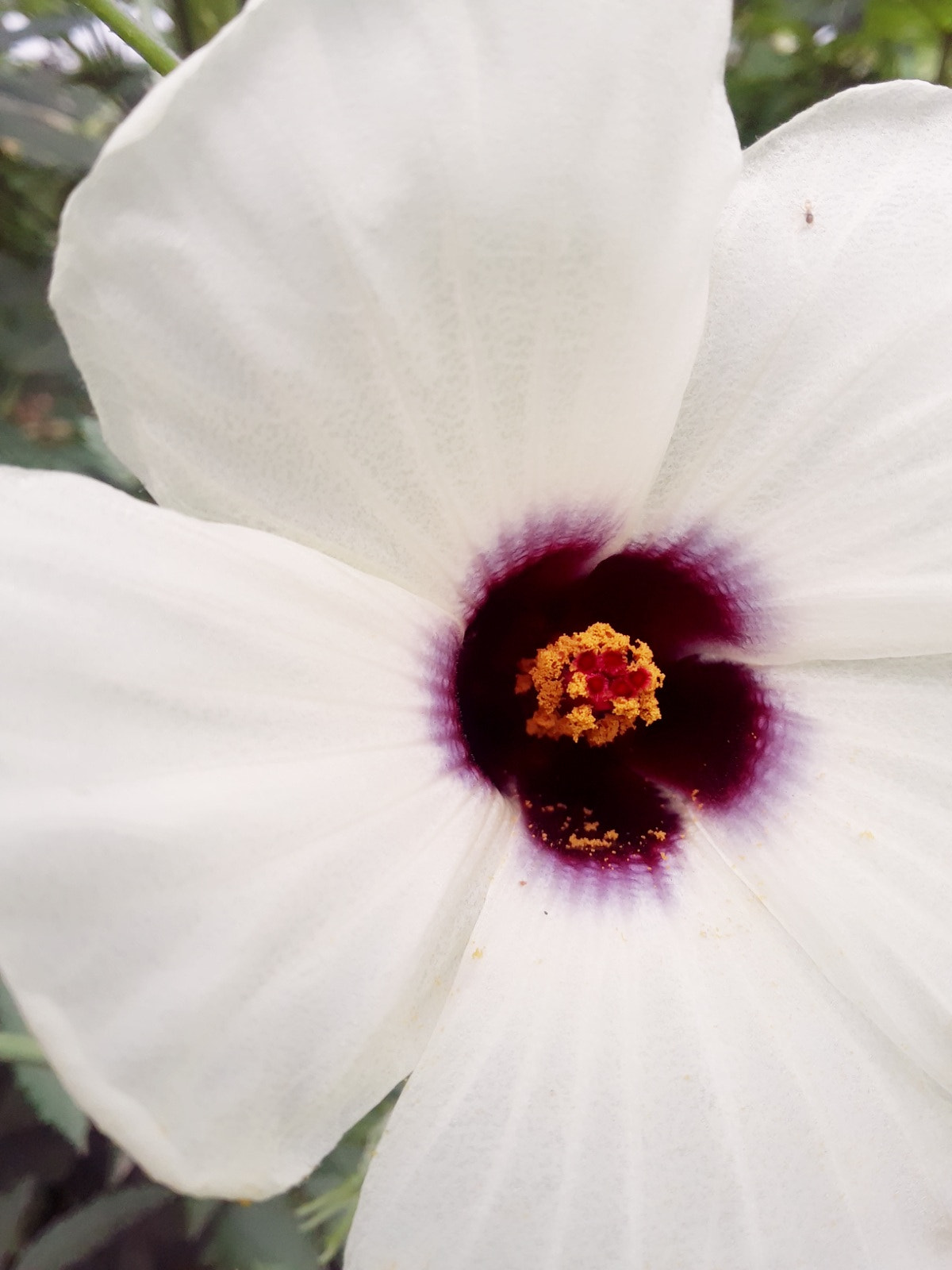 Samsung Galaxy On5 sample photo