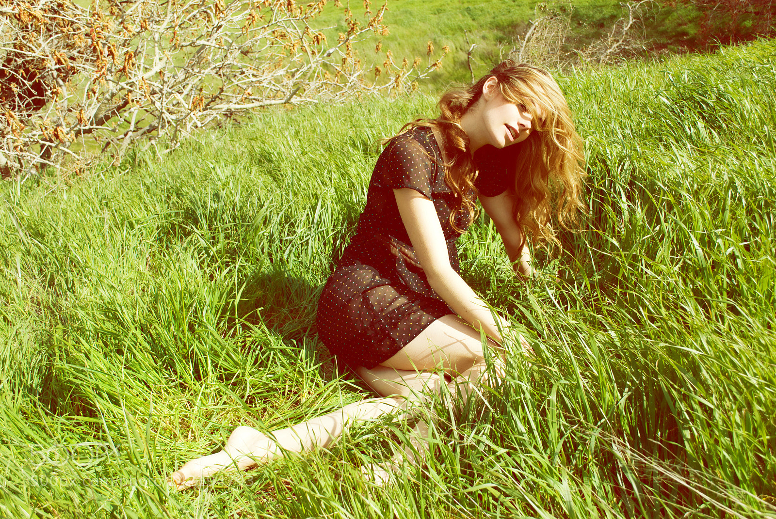 Nikon D60 sample photo. Krystle ann photography photography