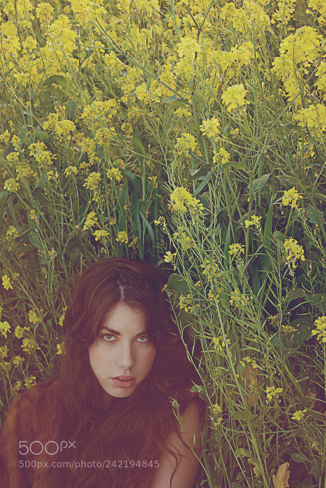 Nikon D60 sample photo. Krystle ann photography photography